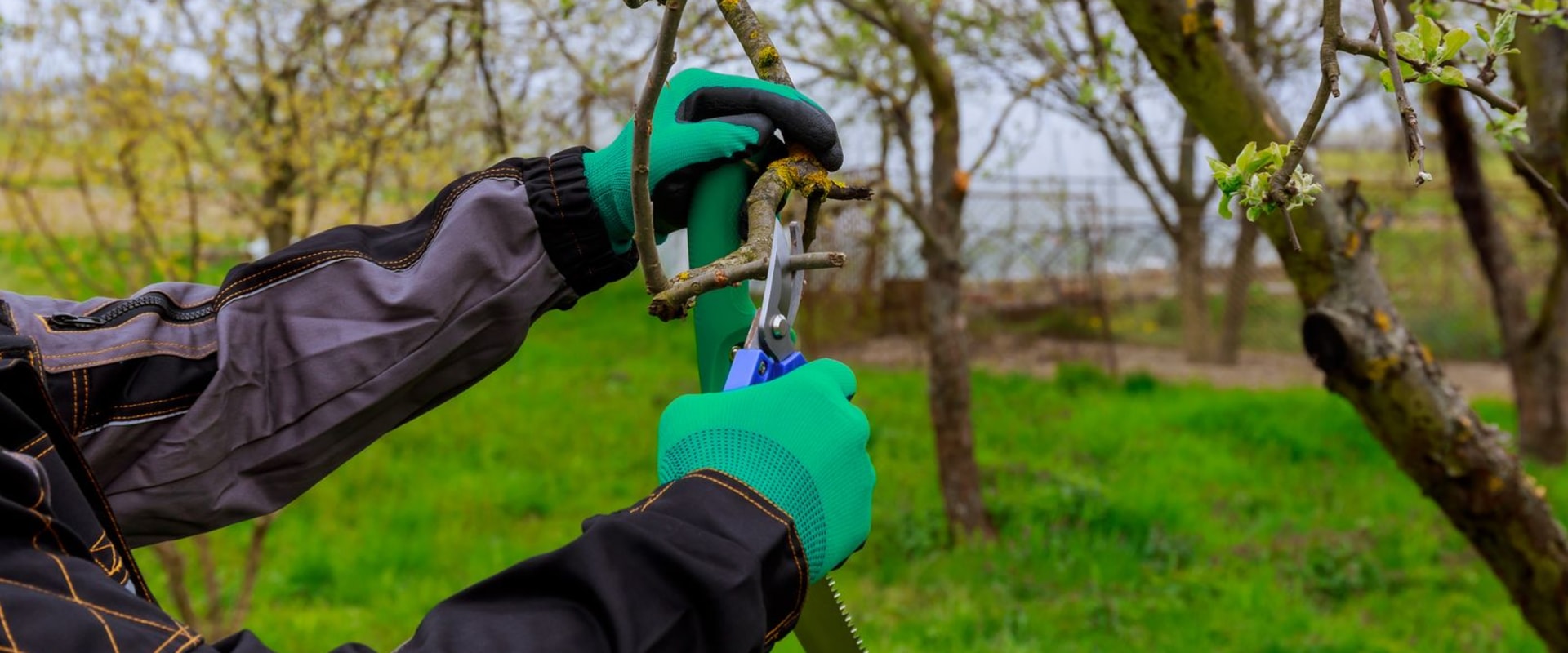 Expert Tree Trimming Services in Maysville, WV