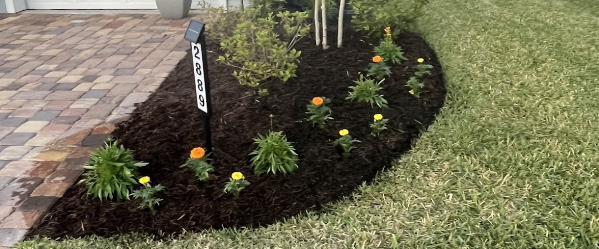 From Tree Care Services to Picture-Perfect Lawns: Professional Sod Installation in Fleming Island, FL