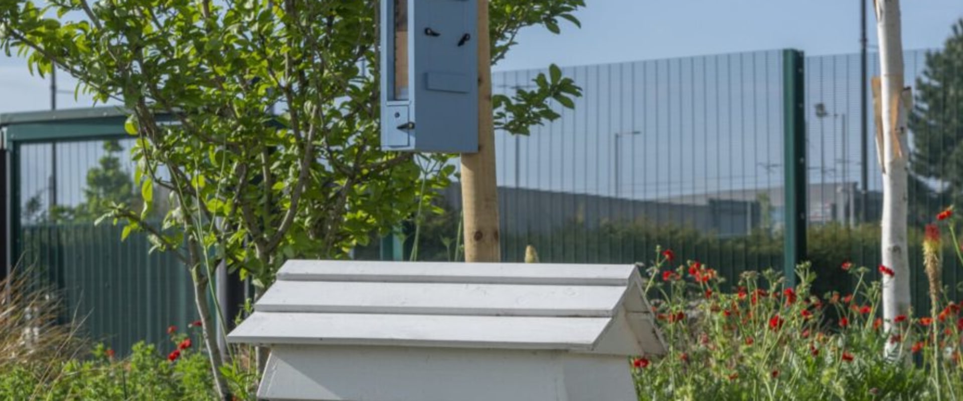 Beyond Pruning: The Landscaper's Contribution To Long-term Tree Care Success In Manchester