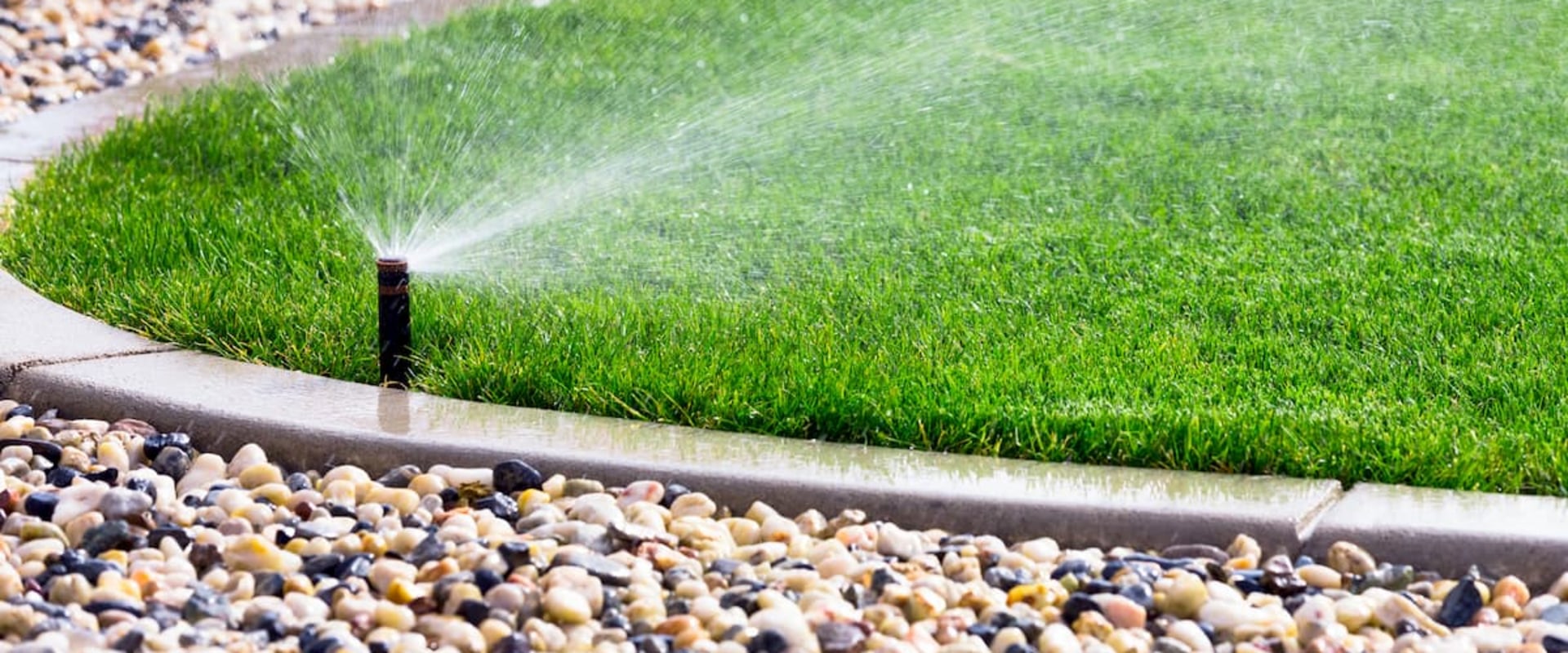 The Advantages Of Installing An Irrigation System When Caring For Trees Around Your Omaha Home