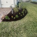 From Tree Care Services to Picture-Perfect Lawns: Professional Sod Installation in Fleming Island, FL