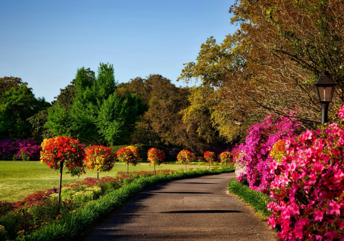 Creating A Lush Portland Oasis: The Role Of Professional Landscapers In Tree Care