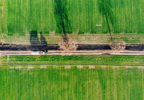 Smart Tree Care Starts With the Right Professional Tree Service in Columbia, MO